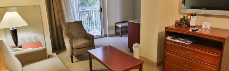 Express & Downtown By Ihg Hotel Asheville