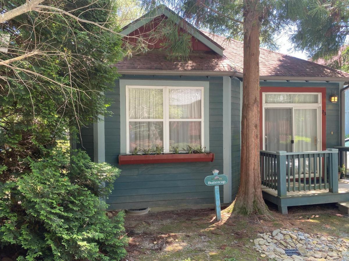 Holiday home Buttercup Asheville