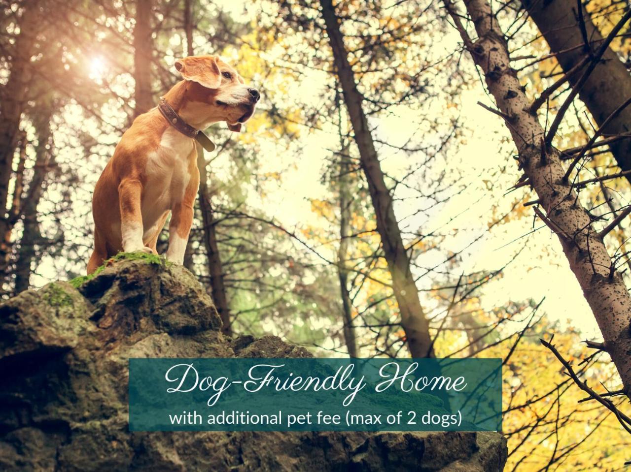 Cottontail Pet-friendly, Fire Pit & 10 Min. To Downtown Avl! Holiday home Asheville