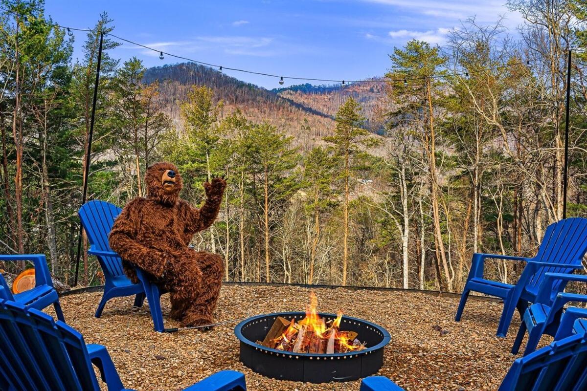 Black Bear Ridge Charming Pet-friendly Getaway * Asheville