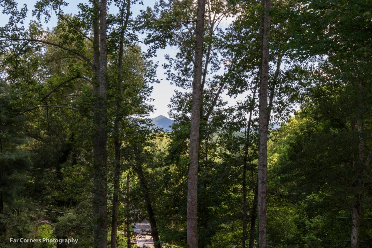 Dogwood Mountain Escapes * Asheville