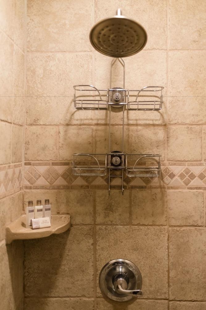 Biltmore Village Inn B&B