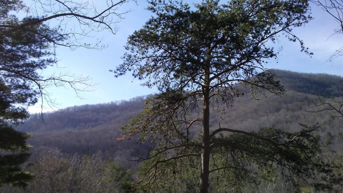 Country Log Cabin-15 Min To * Asheville